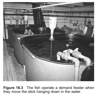Demand Feeders Feeding Equipment In Aquaculture