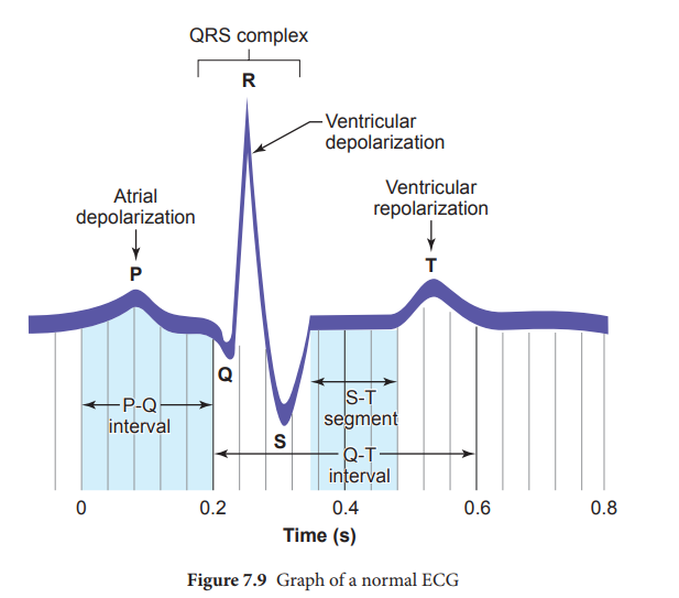 Electrocardiogram Ecg