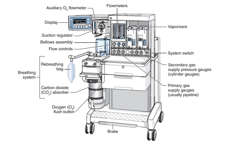 The Anesthesia Machine