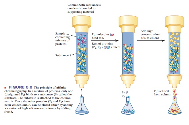 What Are The Different Types Of Chromatography