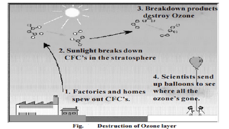 Global Warming Green House Effect
