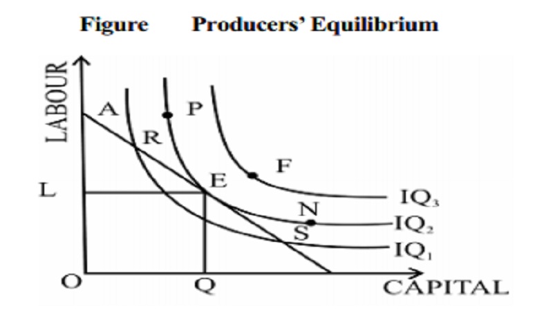 Funzione Di Produzione Cobb Douglas Microeconomia