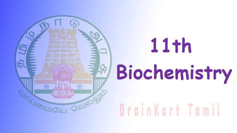 BioChemistry 11th std