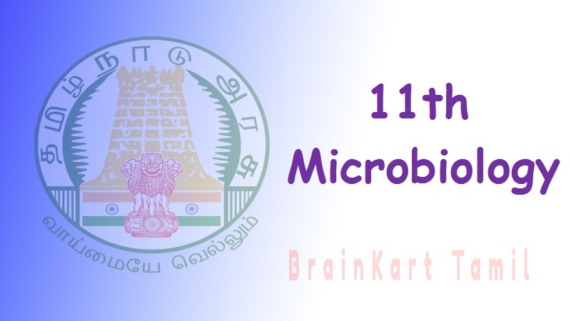 MicroBiology 11th std