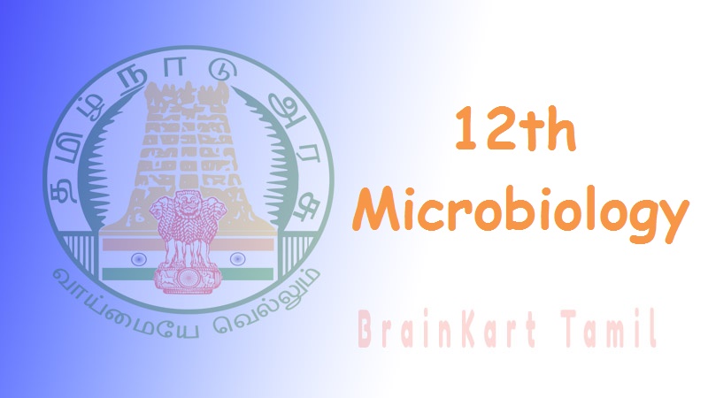 Micro Biology 12th Std